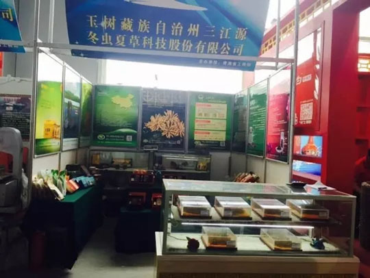 “三江源牌冬虫夏草”青洽会呼吁坚守道地文化-冬虫夏草 中国青海三江源冬虫夏草 Cordyceps sinensis