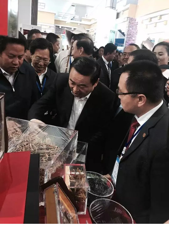 “三江源牌冬虫夏草”青洽会呼吁坚守道地文化-冬虫夏草 中国青海三江源冬虫夏草 Cordyceps sinensis