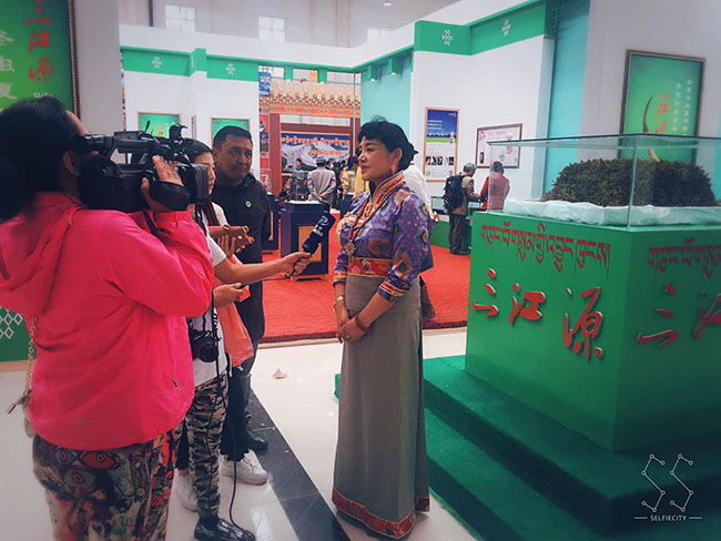 三江源•2016中国•青海国际冬虫夏草暨藏医药展交会盛大开幕-冬虫夏草 中国青海三江源冬虫夏草 Cordyceps sinensis
