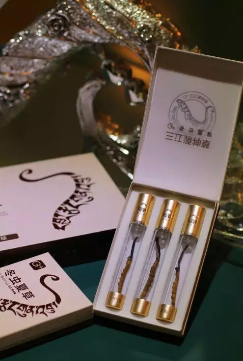 三江源与世界五百强企业一同亮相西博会-冬虫夏草 中国青海三江源冬虫夏草 Cordyceps sinensis