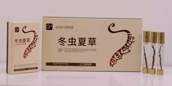 三江源与世界五百强企业一同亮相西博会-冬虫夏草 中国青海三江源冬虫夏草 Cordyceps sinensis
