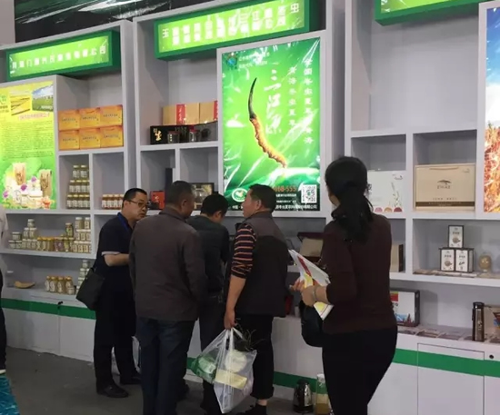 三江源携青藏珍奇特产亮相第十二届昆明国际农业博览会-冬虫夏草 中国青海三江源冬虫夏草 Cordyceps sinensis