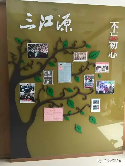 非公党建的“格桑花”-冬虫夏草 中国青海三江源冬虫夏草 Cordyceps sinensis