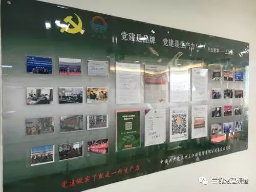 非公党建的“格桑花”-冬虫夏草 中国青海三江源冬虫夏草 Cordyceps sinensis