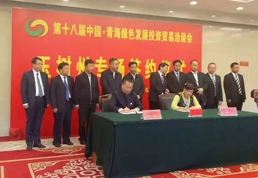 第十八届中国·青海绿色发展投资贸易洽谈会开幕-冬虫夏草 中国青海三江源冬虫夏草 Cordyceps sinensis