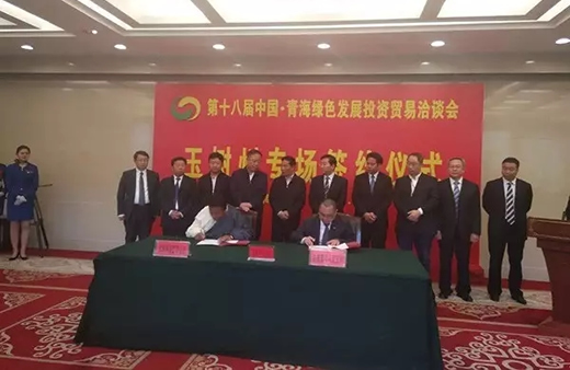 第十八届中国·青海绿色发展投资贸易洽谈会开幕-冬虫夏草 中国青海三江源冬虫夏草 Cordyceps sinensis