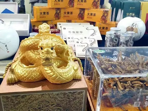 第十八届中国·青海绿色发展投资贸易洽谈会开幕-冬虫夏草 中国青海三江源冬虫夏草 Cordyceps sinensis