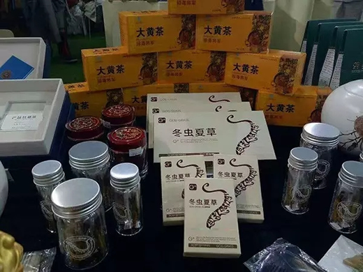 第十八届中国·青海绿色发展投资贸易洽谈会开幕-冬虫夏草 中国青海三江源冬虫夏草 Cordyceps sinensis