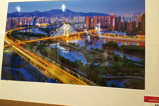 “礼赞十九大·共筑中国梦”--观看兰州大型采风系列活动摄影展-冬虫夏草 中国青海三江源冬虫夏草 Cordyceps sinensis