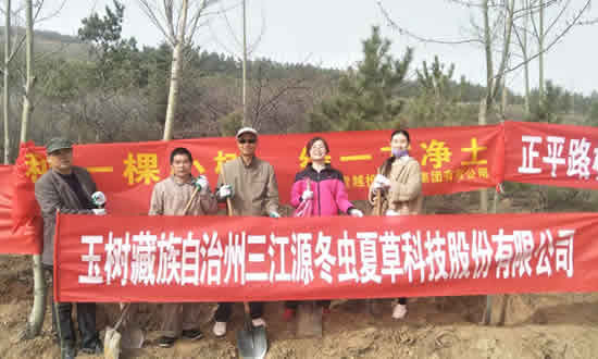 三江源冬虫夏草股份有限公司参加全省民营企业“种一棵小树?绿一方净土”义务植树活动-冬虫夏草 中国青海三江源冬虫夏草 Cordyceps sinensis